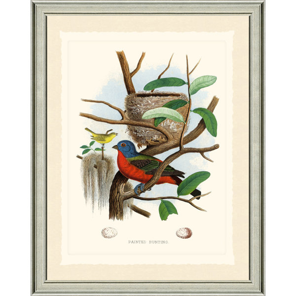 Vintage Print Gallery Buntings by Vintage Print Gallery Perigold